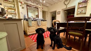 Late Evening House Reset | Tidy, Organise, Reboot Laundry & Vacuum With Me