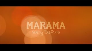 Vive Y Disfruta Lyrics English Translation