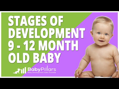 Stages of Development in Babies and Infants 6-9 Month by BabyPillars