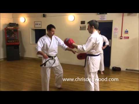 Applying dynamics derived from kata against focus pads