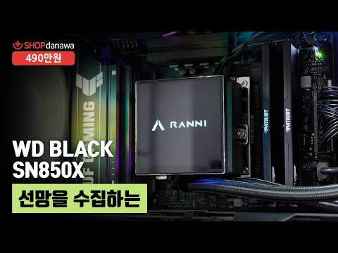 darkFlash DLX21 RGB MESH ��ȭ����
