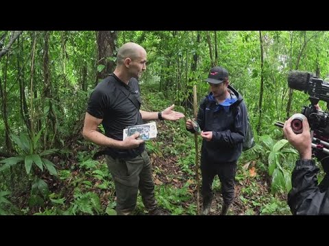 Video Thumbnail: Allein im Dschungel: Was macht die Orientierungslosigkeit mit unserer Psyche?