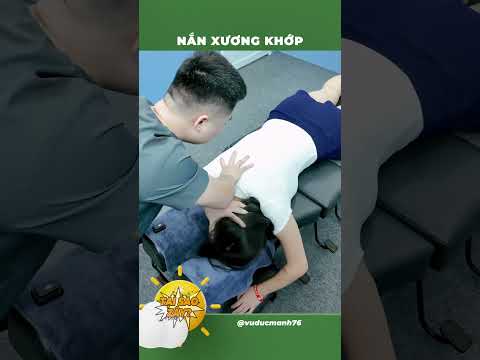 Nắn xương khớp động vật