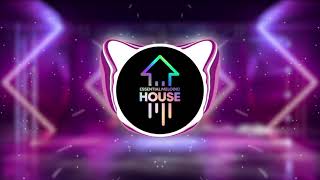 Video thumbnail for Essential Melodic House - PREMIUM House Samples by Producer Loops