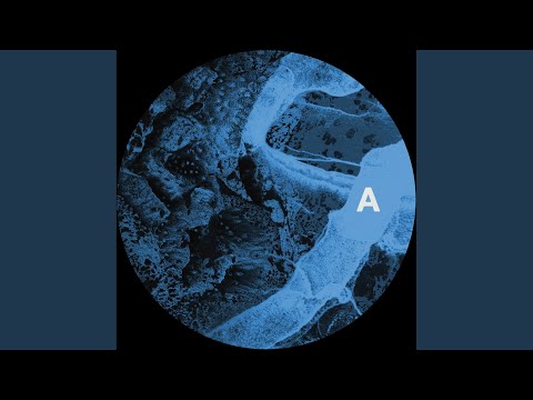 Fanout (Original Mix)