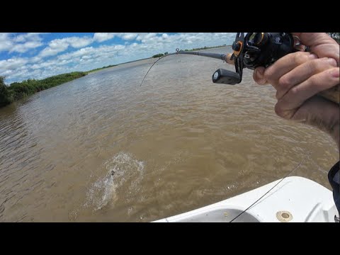 SURUBI ¨SUEÑO CUMPLIDO¨- PESCA EN VICTORIA ENTRE RIOS.