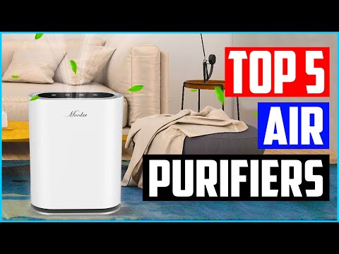 Top 5 Best Air Purifiers in 2022 Reviews