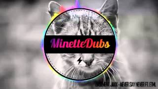 Basement Jaxx - Never Say Never ft. ETML