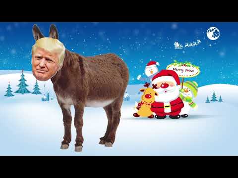 DONALD TRUMP THE DONKEY