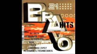 Bravo Hits Vol.21