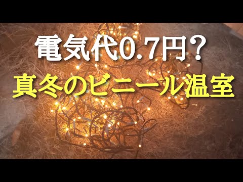 冬の温室を維持する 床のベンチを掃除する 空の鉢 上げ床を消毒する