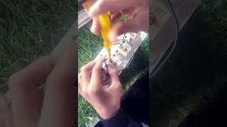 double power plug switch ka indicator se connection  sabse aasan tarika!!