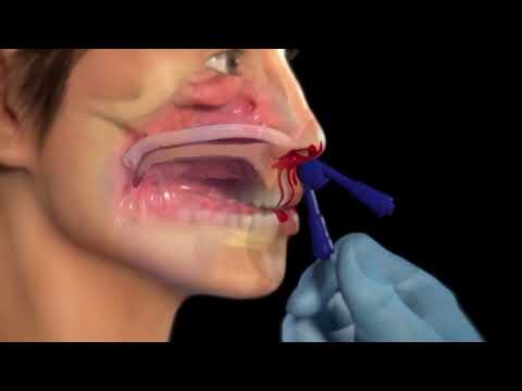 Legal Graphics Animation