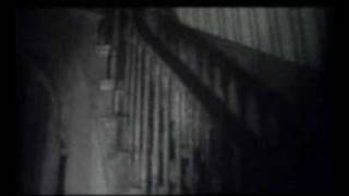 Sleepwalking Music Video