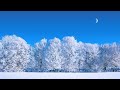 Barbara Higbie - Greensleeves