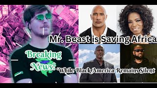 Why is Mr. Beast is helping Africa, while Black Americans remain silent #africanews #blackamerica