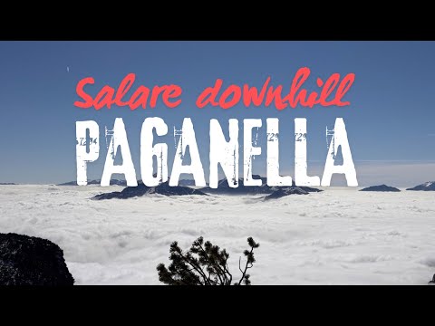 Downhill  Salare (w) - Paganella ski Andalo  Feb  2025