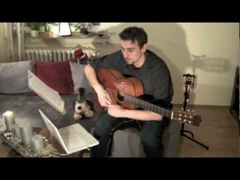 Hansi's Videotagebuch 12.Tag - Gitarre lernen in 30 Tagen