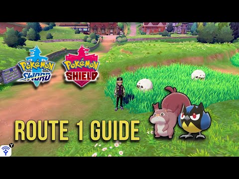 Pokemon Sword and Shield Route 1 Guide - Brilliant Pokemon & Wild Encounter Mechanics