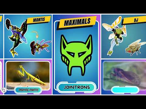 All Transformers Beast Wars II Alt Mode in Real Life #transformers #beastwars
