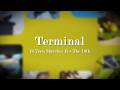 Terminal by Stephs