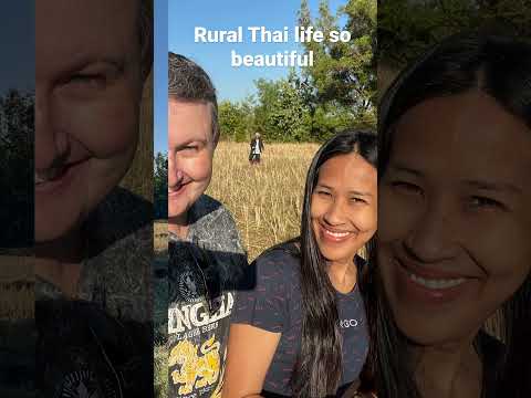 A vida rural tailandesa sempre linda em Ubon Ratchathani - Acabei de sair para passear