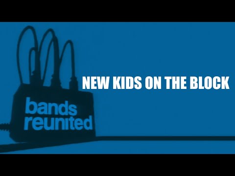 New Kids On The Block Bands Reunited (2004)