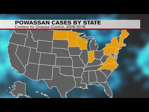 Rare tick disease on the rise in Mass.
