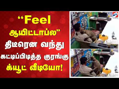 ''Feel ஆயிட்டாப்ல'' - திடீரென வந்து கட்டிப்பிடித்த குரங்கு - க்யூட் வீடியோ!