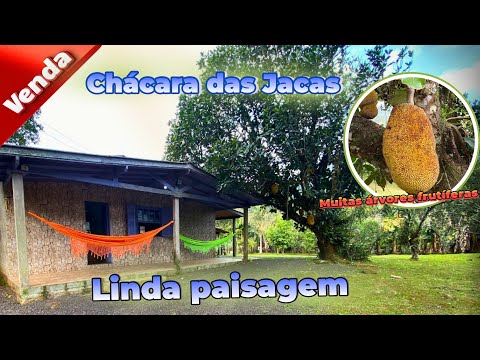 CHÁCARA DAS JACAS/ REFÚGIO  EM MAQUINÉ – Chácara com CASA, POMAR E LINDA VISTA por R$ 270 Mil