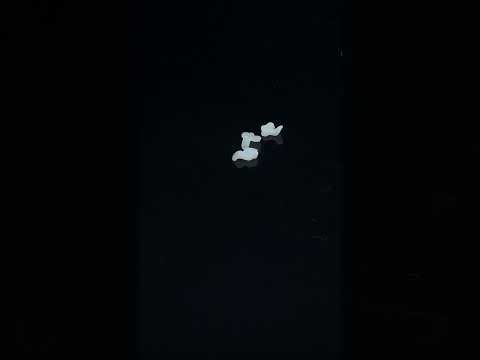 YouTube 썸네일
