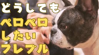 【フレブル】VS【妻】の仁義なき戦い