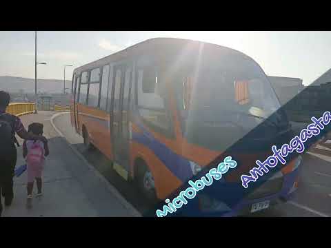 Inrecar Géminis Puma Agrale MA9.2 | Transportes Línea 2 Sociedad Anónima | Arica Línea 2