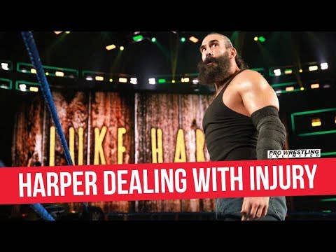 Fight Size Update: Luke Harper In A Cast, Alexa Bliss Subliminally Addresses Her Injury, Buff Bagwell – Jerry Lawler, More