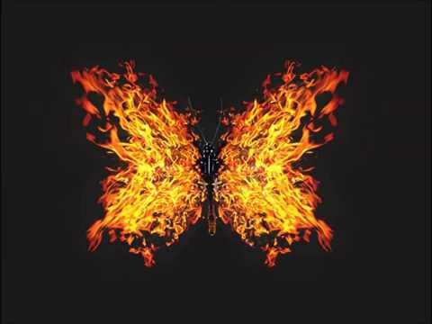 Nerijus Liubertas - Drugeliai Ugny