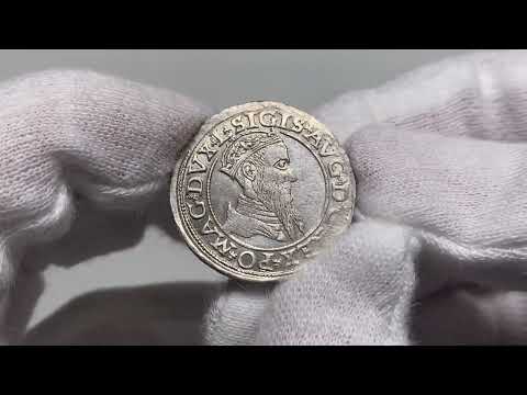 A14, Zygmunt II August, czworak 1566, Wilno