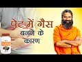 पेट में गैस बनने के कारण और उपाय Swami Ramdev