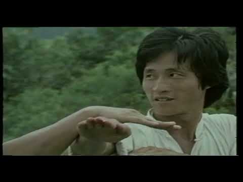 Snake in the Monkey's shadow part 3