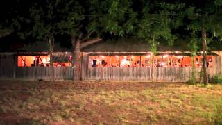 Marcia Ball - "Look Before You Leap"