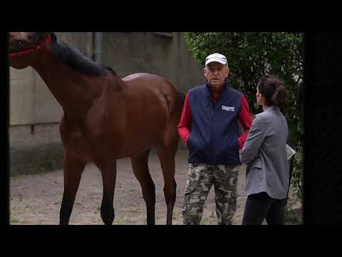 Gala Derby 2020 - wywiad z trenerem Maciejem Janikowskim