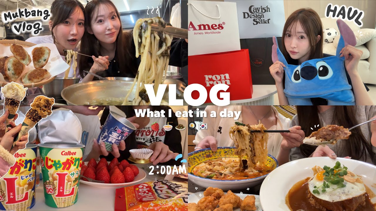 【vlog】親友が突然、韓国の家まで来た😳🏠🇰🇷一泊二日の弾丸韓国旅行??✈️what i eat in a day🧆₊⊹購入品紹介💰