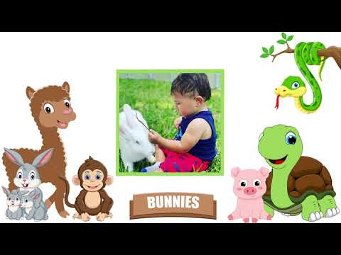 Promotional video thumbnail 3 for Exotic Animal Parties