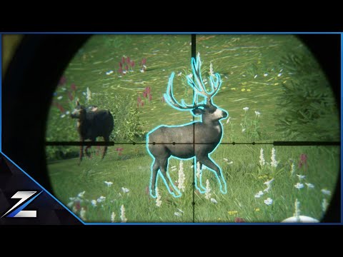 Biggest Diamond of Silver Ridge Peaks!!