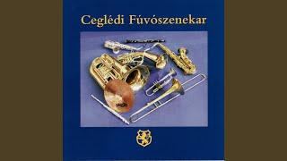 An Irish Part in Third Class