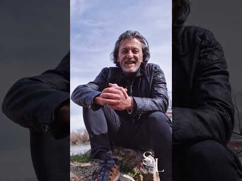 Funcțiile sintactice