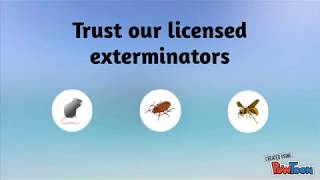 All Pests Gone (847) 450-0354