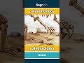 palaeontology - paleontología video thumbnail