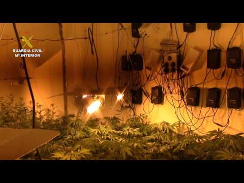 2017 02 16 op choclo almeria