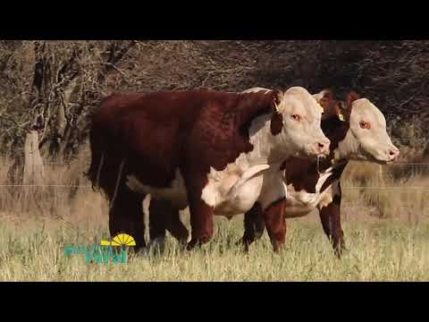 BLOQUE 1 CABAÑA LOS MURMULLOS