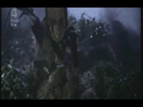 Cha'Mone Mo-Fo Selecta - Thriller